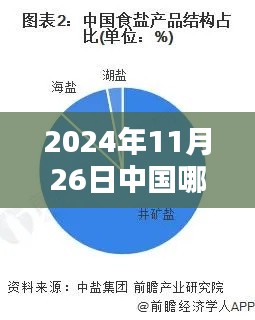 揭秘,2024年11月26日中国产盐最多的省份大盘点