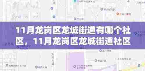 11月龙岗区龙城街道社区探秘,发现你的温馨家园