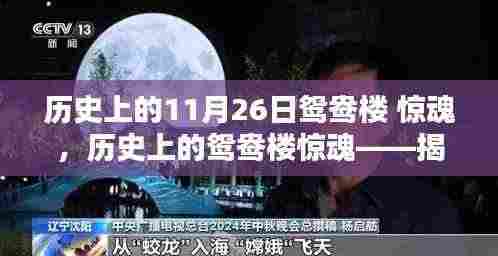 揭秘历史上的鸳鸯楼惊魂,惊魂时刻背后的秘密档案回顾(11月26日)