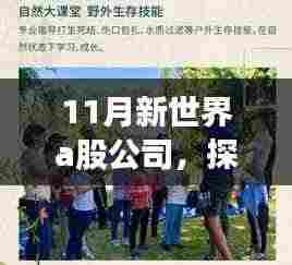 新世界A股公司引领的自然美景探索之旅,追寻内心的宁静与平和