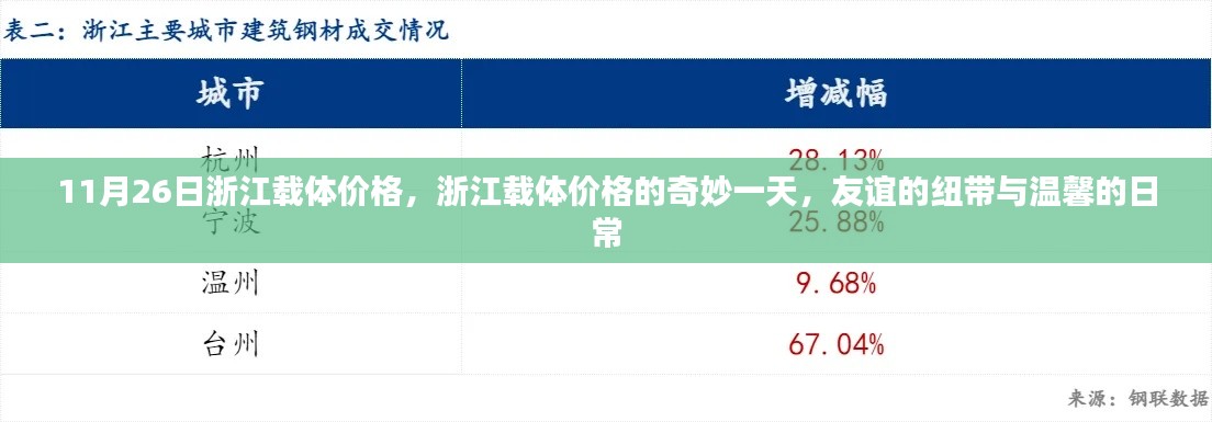 浙江载体价格的奇妙一天,友谊纽带与温馨日常的记录