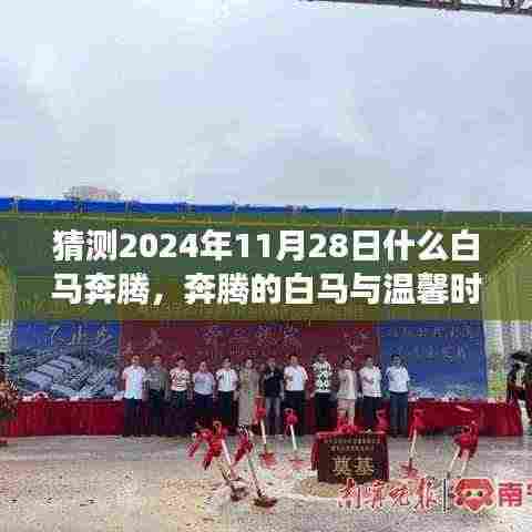 奔腾白马与温馨时光,友情与未来的故事,预测2024年11月28日