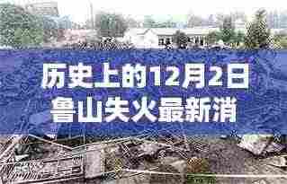 历史上的重大灾难与鲁山火灾最新消息深度解析与评测
