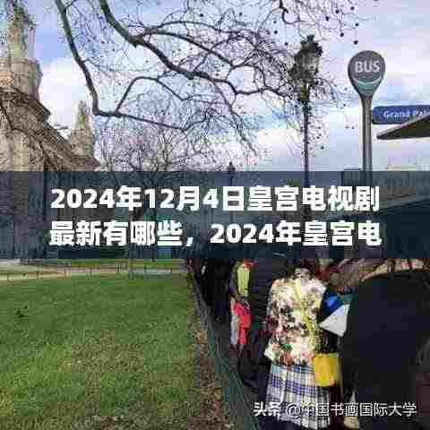 深度解析,2024年皇宫电视剧新潮流与背景事件之影响