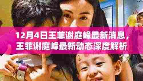 王菲谢庭峰最新动态揭秘,特性、体验、竞品对比及用户群体深度分析