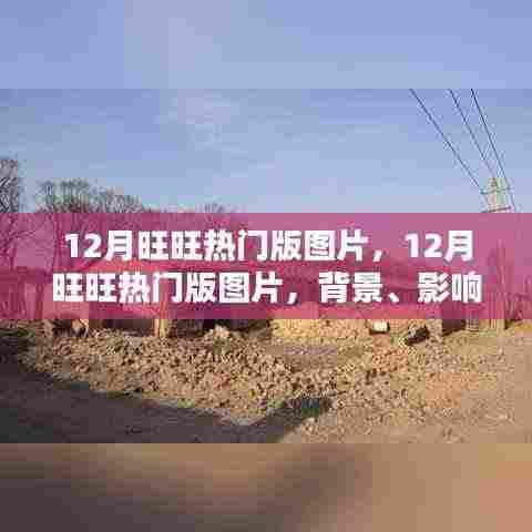 12月旺旺热门版图片，背景、时代印记与影响力