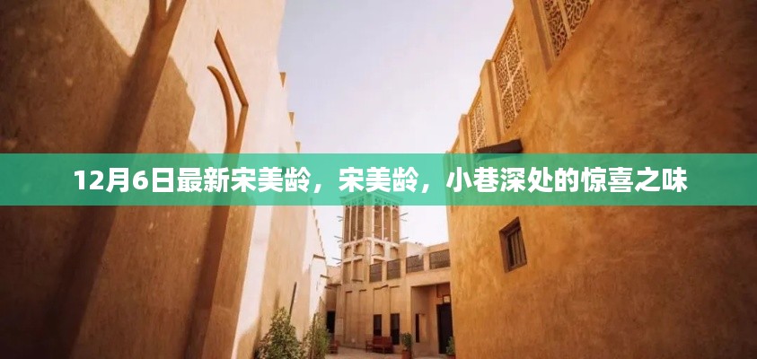 宋美龄，小巷深处的惊喜故事，揭秘传奇人生