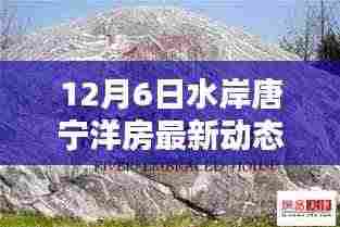 揭秘水岸唐宁洋房,巷弄间的特色小店与最新动态解析