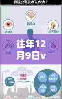 12月9日V区单字ID热门,心灵觉醒的自然之旅