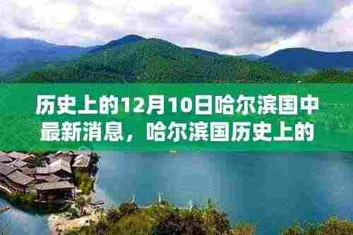 哈尔滨国历史上的十二月十日,最新消息与资讯深度解读的步骤指南