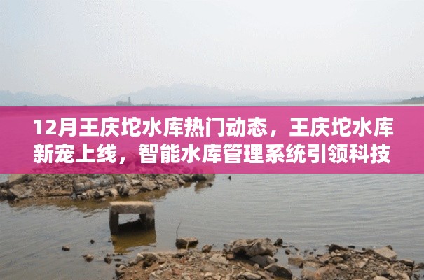 王庆坨水库智能管理系统引领科技生活新潮流,十二月热门动态与新宠上线