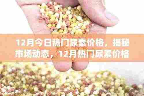 揭秘市场动态，12月热门尿素价格走势分析与预测