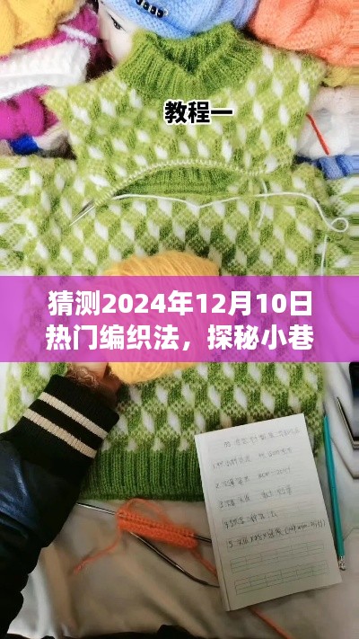 探秘小巷深处的编织秘境,预测2024年热门编织风尚与编织法揭秘