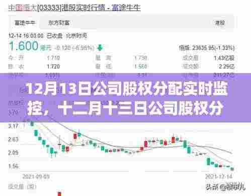 十二月十三日公司股权分配实时监控,洞悉运营脉络,保障投资者权益