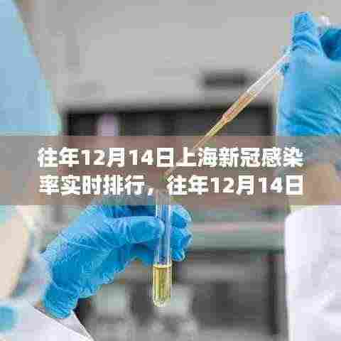 往年12月14日上海新冠感染率实时排行深度解析与观察报告