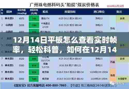 如何在平板上查看实时帧率,轻松科普指南(适用于12月14日)