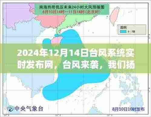 台风来袭，扬帆起航，体验海上自信与成就之旅的实时记录