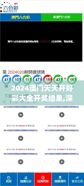 2024澳门天天开好彩大全开奖结果,深入数据解答解释落实_P版1.332