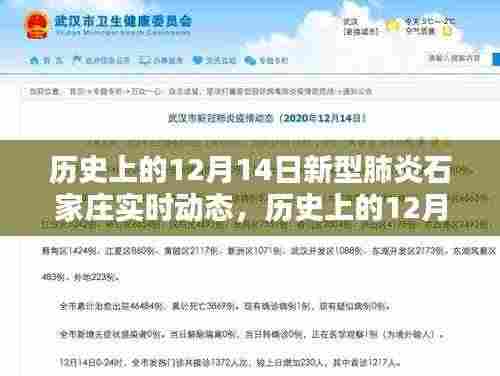 历史上的12月14日石家庄新型肺炎实时动态综述及要点解析