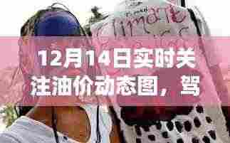 油价动态图实时关注,驾驭变化之浪,见证跃升每一步