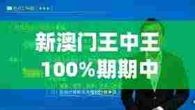 新澳门王中王100%期期中 - 高效投资的财富密码
