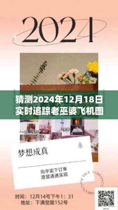 揭秘老巫婆飞机追踪,梦想起航,学习变化成就自信与成就之梦的独特视角(实时追踪图片)