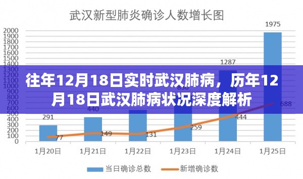 历年12月18日武汉肺病深度解析与实时状况探讨