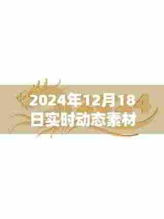 2024年12月18日实时动态素材文字图片的综合论述与实时动态更新