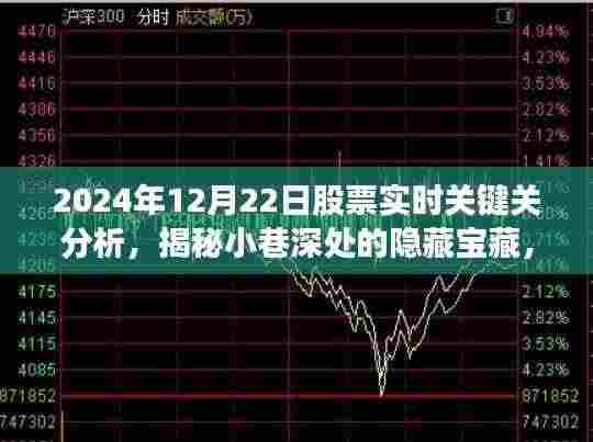 揭秘特色小店股票实时关键分析,2024年12月22日股市洞察与实时股票分析