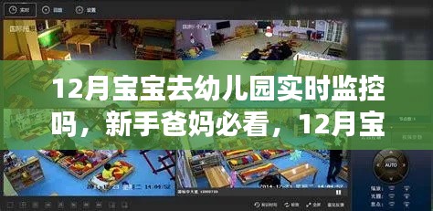12月宝宝入园实时监控操作指南,新手爸妈必看的实时监控指南