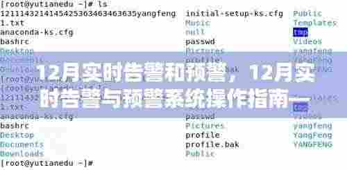 12月实时告警与预警系统操作指南,从初学者到进阶用户的实用指南