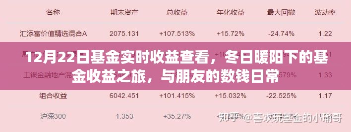冬日暖阳下的基金收益之旅,实时查看基金收益与分享数钱日常