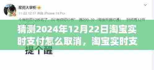 淘宝实时支付取消功能预测,操作指南、功能详解与未来展望(猜测至2024年12月)