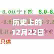 历史上的12月22日仔猪实时报价,初学者与进阶用户查询指南