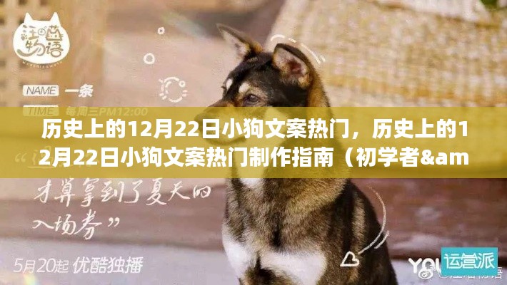 历史上的12月22日小狗文案制作指南,从初学者到进阶用户的热门文案全解析
