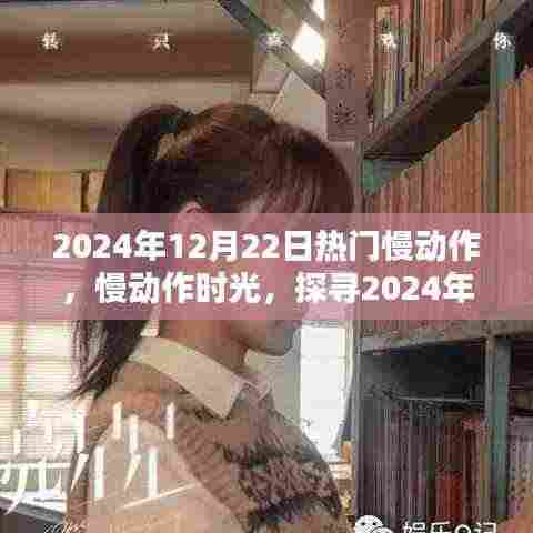 探寻时光之韵,2024年12月22日慢动作下的心动瞬间