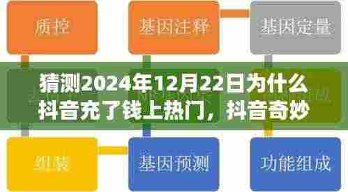 揭秘抖音奇妙日,小杰的热门梦想与暖心陪伴背后的秘密,为何充值就能上热门?