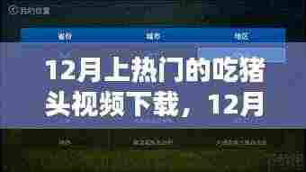 12月热门猪头视频下载,深度评测与介绍,不容错过的美食盛宴