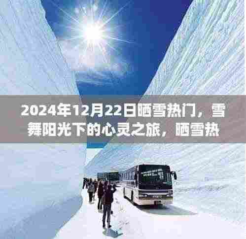 雪舞阳光下的心灵之旅,启程追寻内心的宁静与平和(晒雪热门)