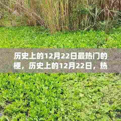 历史上的12月22日热门梗深度解析,演变与影响探讨