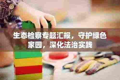 生态检察专题汇报,守护绿色家园,深化法治实践