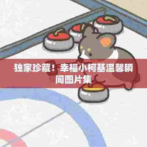 独家珍藏!幸福小柯基温馨瞬间图片集