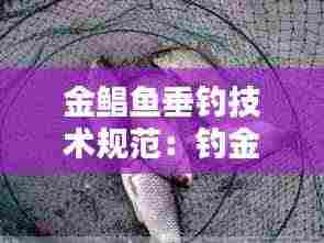 金鲳鱼垂钓技术规范：钓金鲳鱼沉底还是钓浮漂 