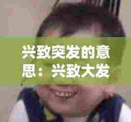 兴致突发的意思:兴致大发的兴致是什么意思