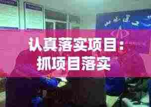 认真落实项目:抓项目落实