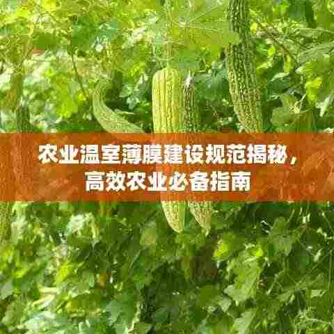 农业温室薄膜建设规范揭秘,高效农业必备指南