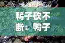 鸭子砍不断:鸭子砍法