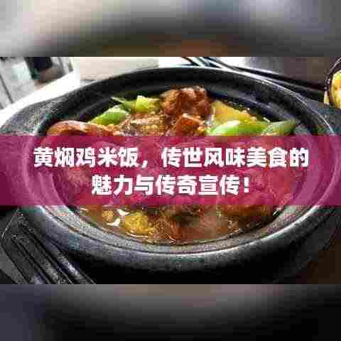 黄焖鸡米饭,传世风味美食的魅力与传奇宣传!