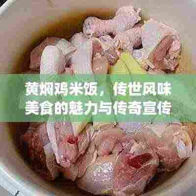 黄焖鸡米饭,传世风味美食的魅力与传奇宣传!