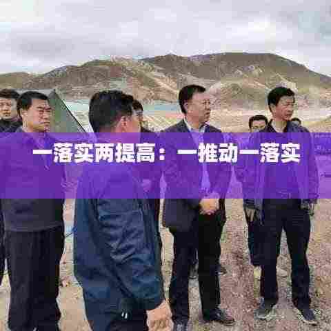 一落实两提高：一推动一落实 